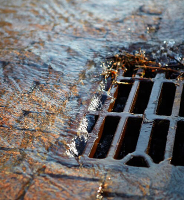 Sewage Damage